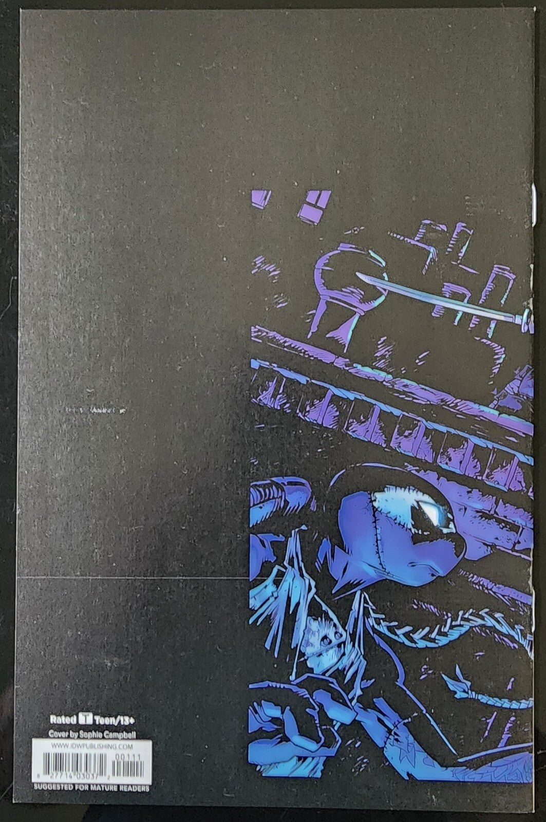 Teenage Mutant Ninja Turtles Free Comic Book Day IDW 2022 Eastman FCBD TMNT