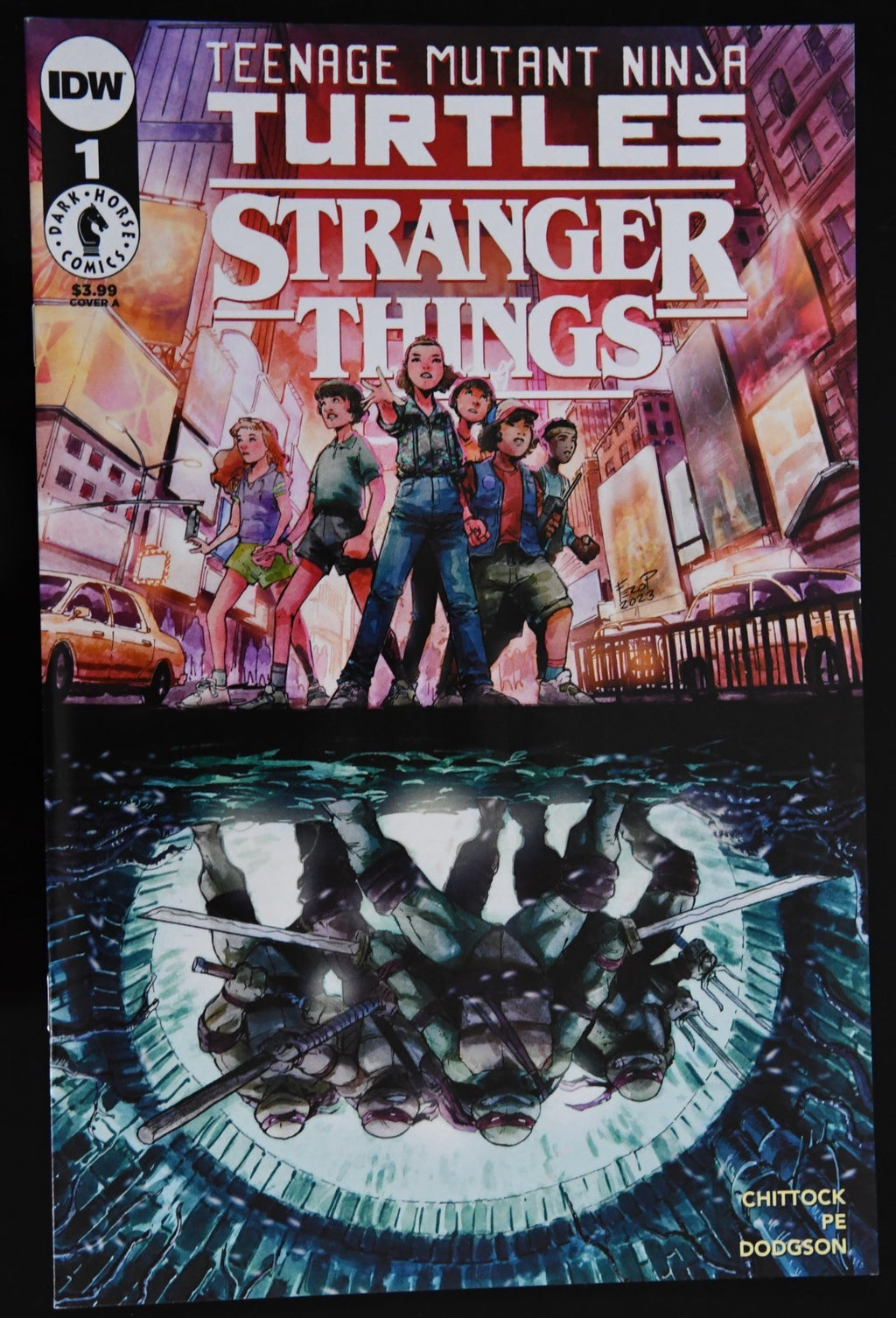 Teenage Mutant Ninja Turtles Stranger Things #1 TMNT - (IDW Dark Horse 2023)