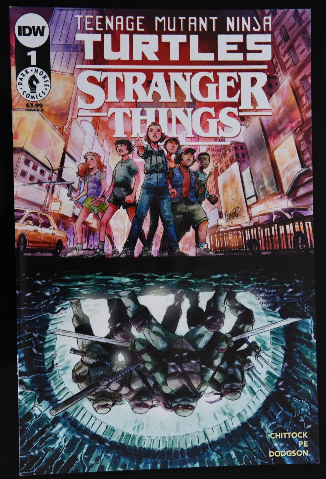 Teenage Mutant Ninja Turtles Stranger Things #1 TMNT - (IDW Dark Horse 2023)