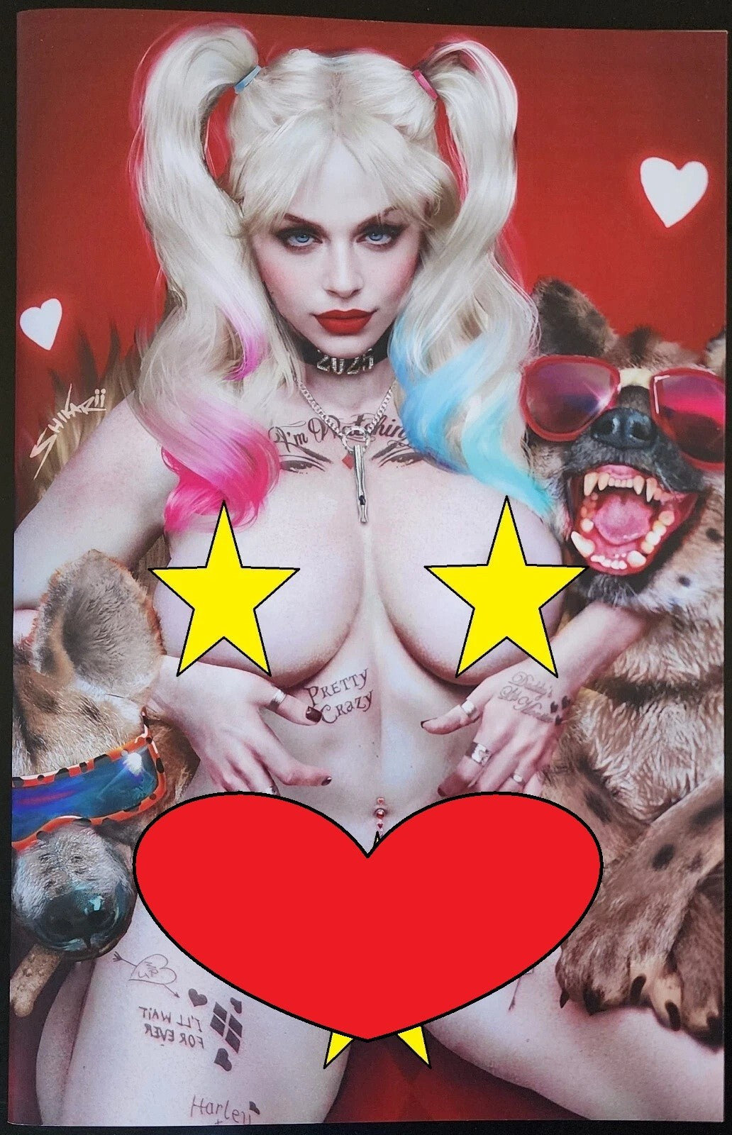 Miss Meow #7 Shikarii Doggies 6 Book Collectors Box Set