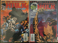 Incredible Hulk, Vol 3. #22 #28 2001 Lot