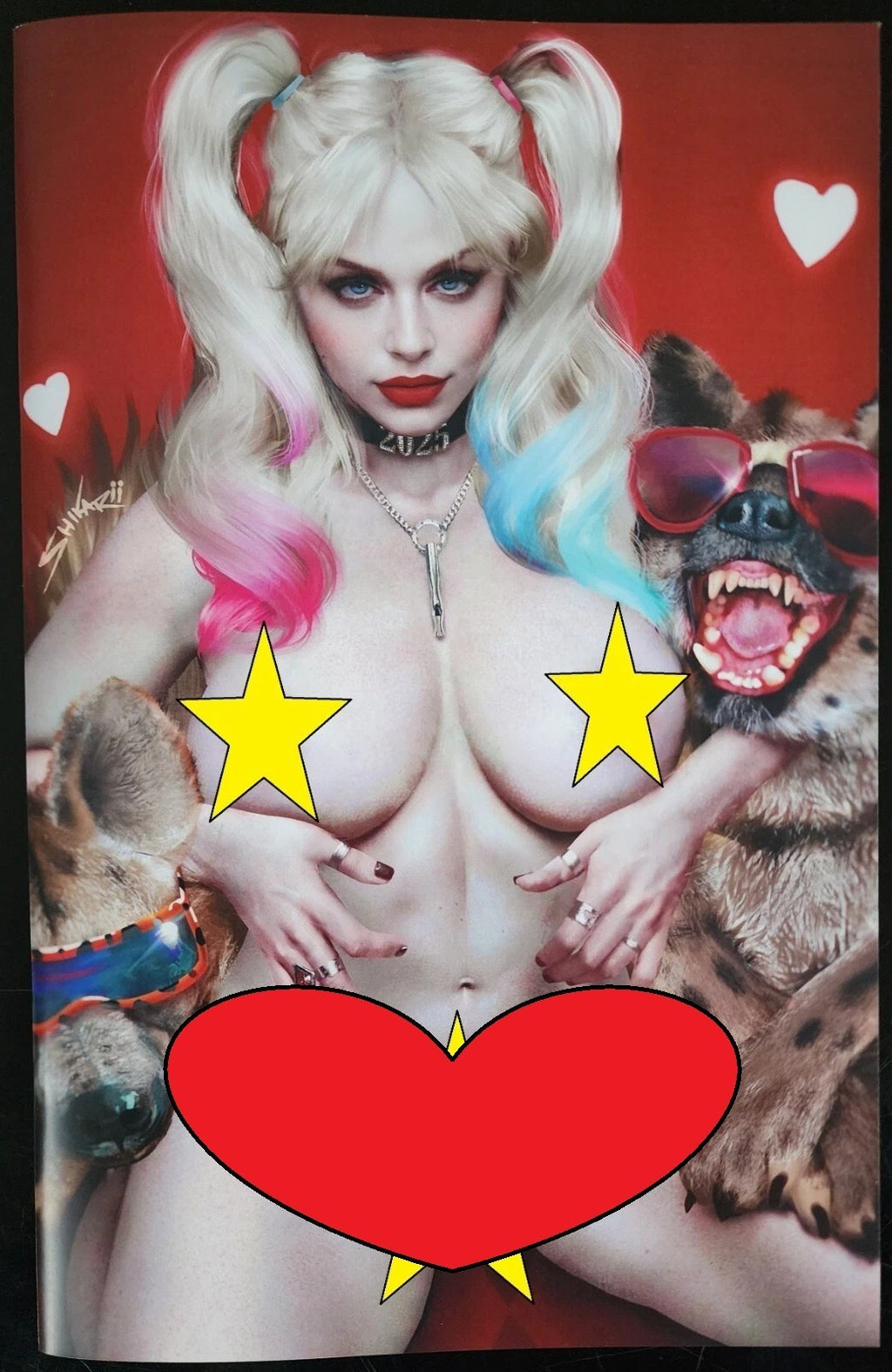 Miss Meow #7 Shikarii Doggies 6 Book Collectors Box Set