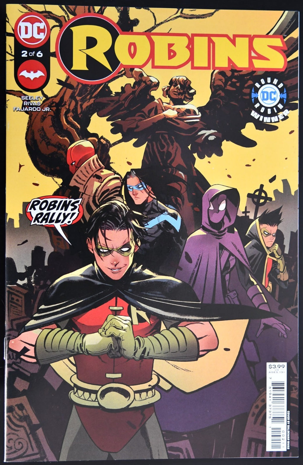 Robins #2 2001 1st Full App. Female Robin Baldemar Rivas Cover