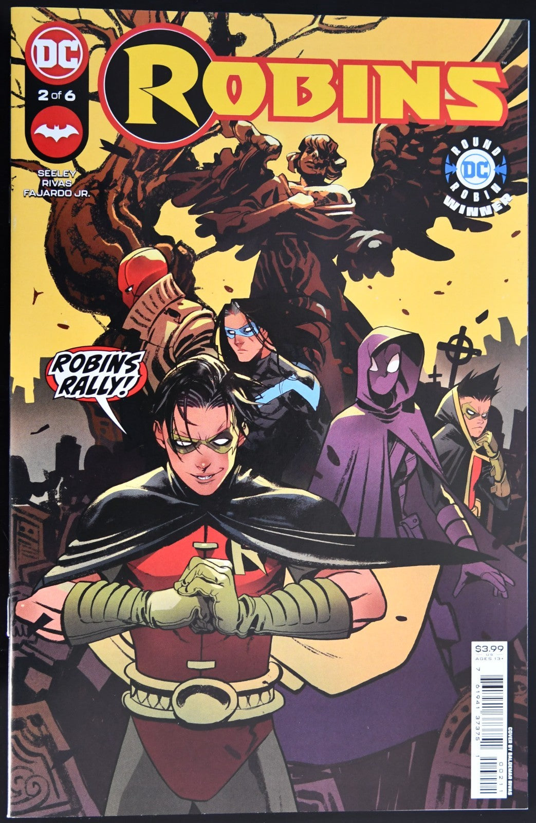 Robins #2 2001 1st Full App. Female Robin Baldemar Rivas Cover