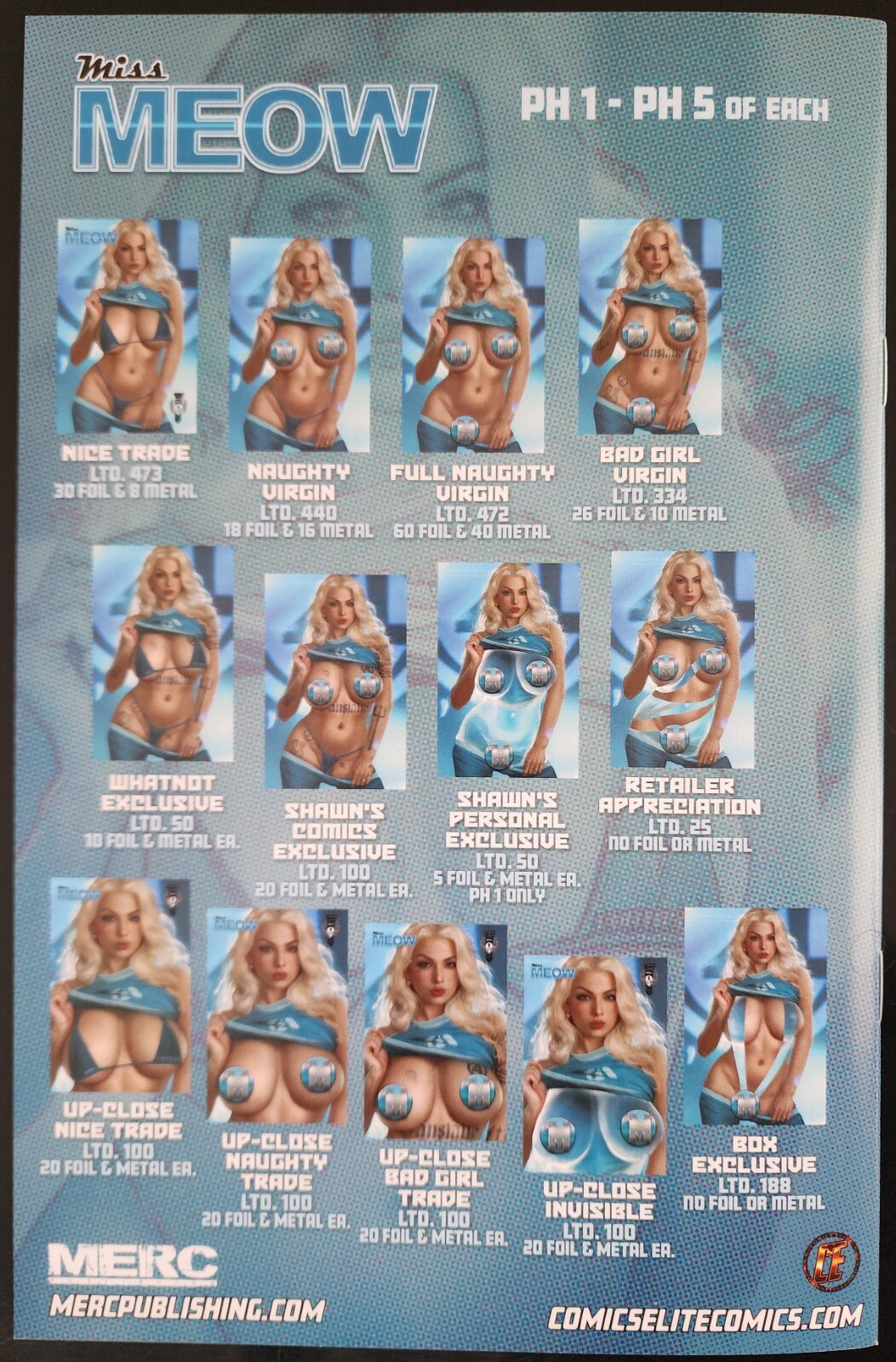 PH2 Miss Meow #8 Shikarii Fan-Tastic Up Close Invisible Woman Trade