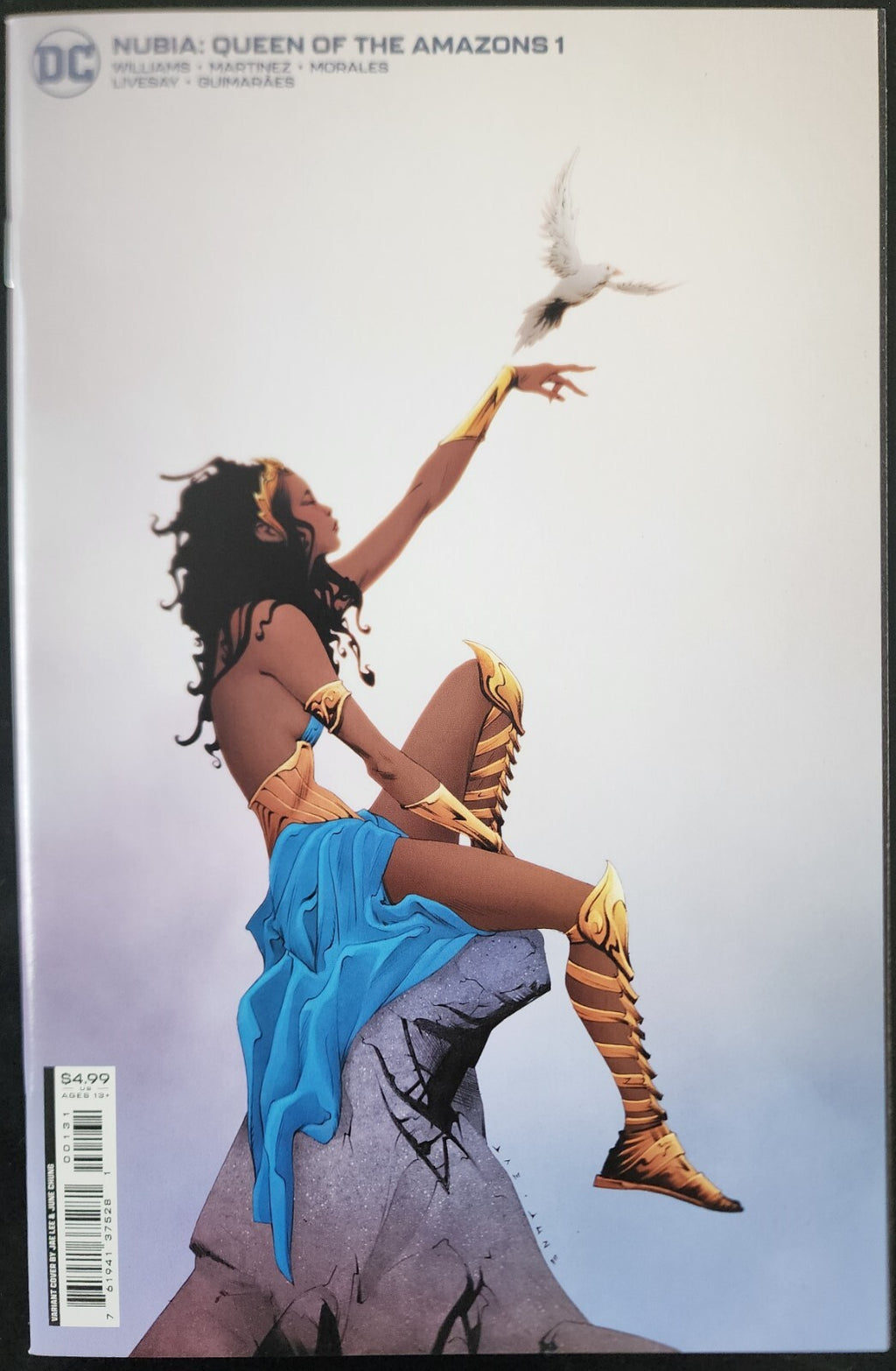 Nubia Queen of the Amazons #1 Jae Lee Card Stock Variant Cover (2022)