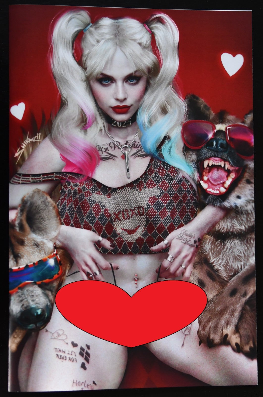 Miss Meow #7 Shikarii Doggies 6 Book Collectors Box Set