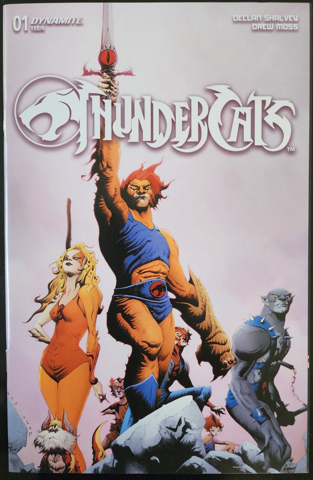 THUNDERCATS #1 Cover D Variant Jae Lee & June Chung COMIC DYNAMITE COMICS 2024