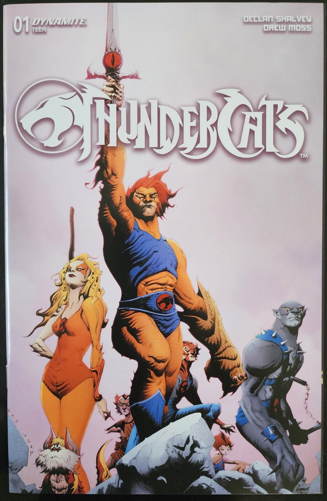 THUNDERCATS #1 Cover D Variant Jae Lee & June Chung COMIC DYNAMITE COMICS 2024